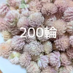 Item thumbnail for item 012826a7-0c16-4ac6-97ba-71216676c0ee