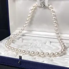 Item thumbnail for item aeeb2593-17b8-4b7e-bbdf-f8ec9a005c39