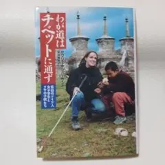 Item thumbnail for item 8eb738f5-f88a-4817-822d-c1a72519be9c