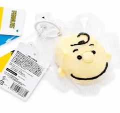 値下げしました【新品】PEANUTS チャーリー・ブラウン ダイカットスクイーズ