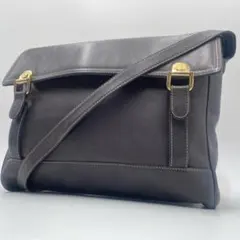 極美品 ロエベ アナグラム ショルダー メッセンジャーバッグ クロスボディ