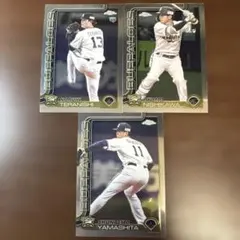 Item thumbnail for item 944e3a54-656c-496e-b4ee-4cbf4c7b8b41