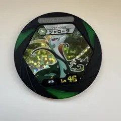 ポケモンバトリオ ジャローダ ダブルレア BW キラ