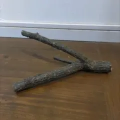 Item thumbnail for item 845af8b0-d44e-4d24-836f-c13696a17c78