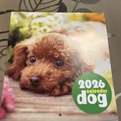 2026 dog カレンダー