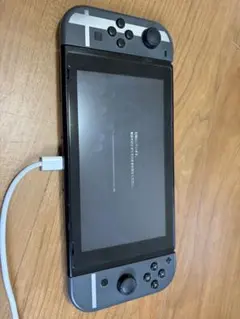 Nintendo Switch 本体 特別版 グレー