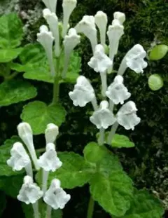 Kita様 リクエスト 3点 まとめ商品