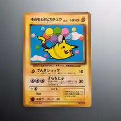 そらをとぶピカチュウ_ANA 「ジェットでゲットだ！Wチャンス