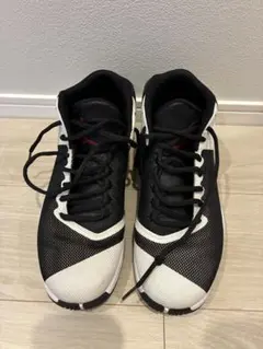 NIKE DZ3499-106 24cm バッシュ - メルカリ