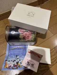 Disney Hotels バースデーギフトセット ディズニーホテル