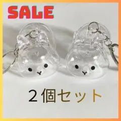 Item thumbnail for item c69e8241-ebd3-4b43-9c4b-65cccb9f7fa9