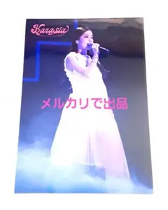 Item thumbnail for item 41ba89ec-e654-4b6b-9f0d-44368b6ec135