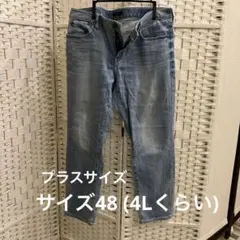 プラスサイズ 23区denim ライトブルー デニムパンツのサムネイル