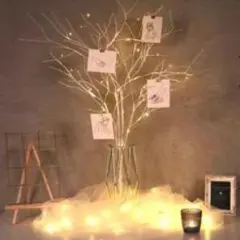 オーガンジーライト追加