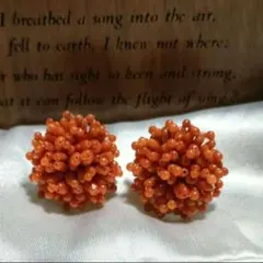 珊瑚　イヤリング