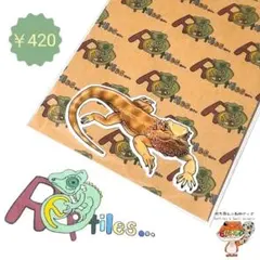 [フトアゴヒゲトカゲ③]爬虫類ステッカー