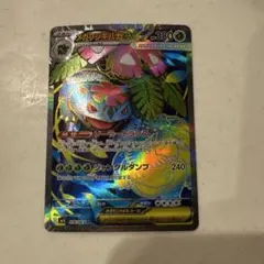 ア*ソ様 メガフシギバナex SR