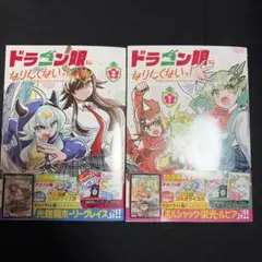 ドラゴン娘プロモ メンデルスゾーン ドラゴン娘 プロモ 4枚セット デュエルマスターズ