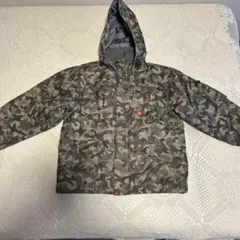 Item thumbnail for item 8a268dc5-6f2d-4e43-ad1b-8e5ce3b42803