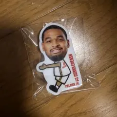 大阪エヴェッサ　抱っこちゃんクリップ