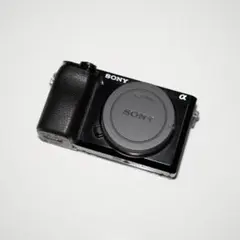 2026年最新】α6100の人気アイテム - メルカリ