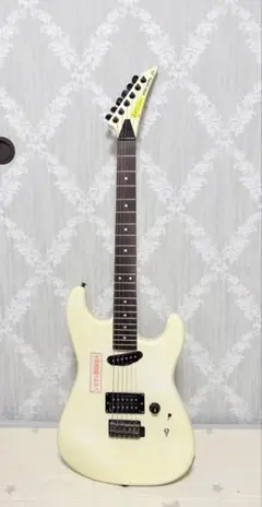 FERNANDES/BURNY TE-75BT White - メルカリ