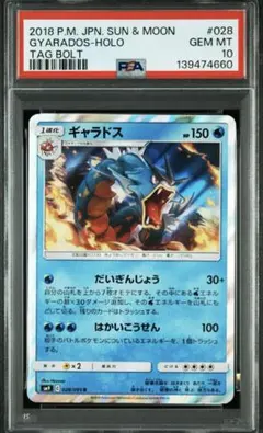 2026年最新】ギャラドス psa10の人気アイテム - メルカリ