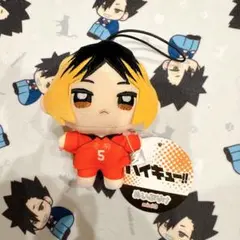 ハイキュー　ぬいぷりけ　mini3　孤爪研磨