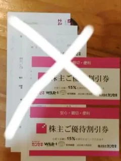 ニコル様専用　カンセキ、WILD-1 15％割引　株主ご優待割引券　1枚