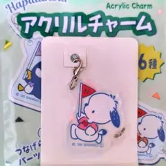 ポチャッコ　アクリルチャーム　サンリオ　Sanrio　新品未使用　匿名配送