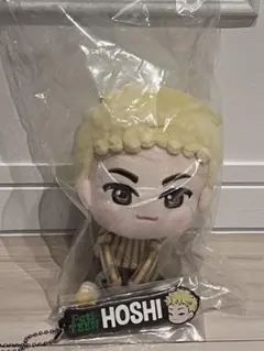 SEVENTEEN Petiteen 一番くじ HOSHI