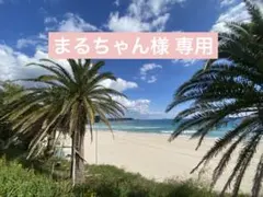 まるちゃん様専用
