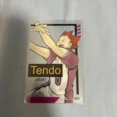 ハイキュー‼︎ファンパーク　箔押しクリアカードコレクション