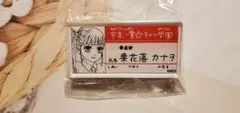 鬼滅の刃 名札バッジ ネームバッジ キメツ学園 原画展 不死川玄弥