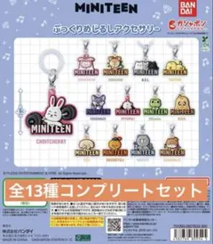 MINITEEN ぷっくりめじるしアクセサリー　13 種コンプリートセット