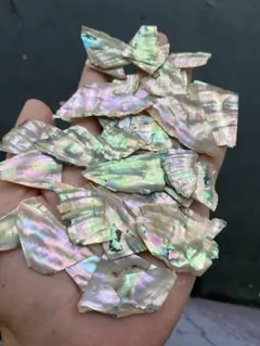 アワビ貝　沖縄県のアワビ貝　40グラム40枚前後　螺鈿細工　ハンドメイド　素材