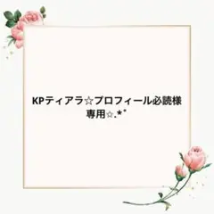 KPティアラ☆プロフィール必読様 リクエスト 2点 まとめ商品
