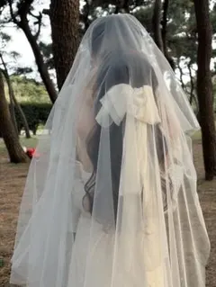 ウェディングセット！ドレス＆ベール＆リボン＆イアリング