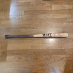 Item thumbnail for item 52ed2a26-b712-4bb1-8f92-f7f61f8b8588