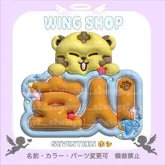 SEVENTEEN 호시　ホシ　ぷっくり3D風　ネームボード　セブチ