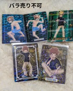 公*o様 沢田綱吉　カード　５枚セット　バラ売り不可