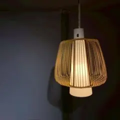 Item thumbnail for item 45eb9b8a-c2c4-4a13-9a6f-f570381da14c