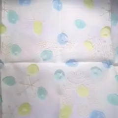 Item thumbnail for item 42602b0d-dcc5-4ad0-ba92-149a6d9bcaa1