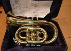 Item thumbnail for item c31d6b62-79ab-408a-ac01-fe57adbe67fb