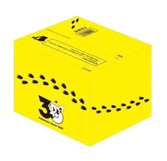 ポケモン30周年記念おかえり!ピカチュウ1/1 専用BOX付き