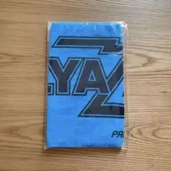 Item thumbnail for item 8378d601-3996-43d7-8446-84025ba14192