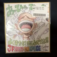 ワンピース　ニカ　ジャンプフェスタ2025 複製ミニ色紙　応募者全員サービス