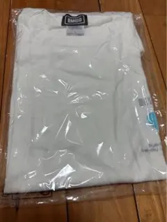 Item thumbnail for item 4065c66a-a8a8-4f68-8b8c-fc9ef574087c