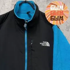 レア 古着90s◆ザノースフェイス デナリジャケットポーラテック レディースXL