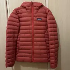 【美品】25年モデル Patagonia ダウンセーター フーディのサムネイル